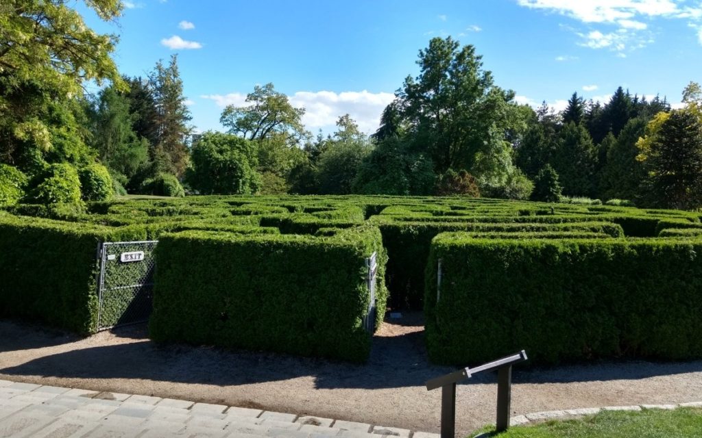 Hedege Maze VanDusen Botanical Garden Vancouver Canada