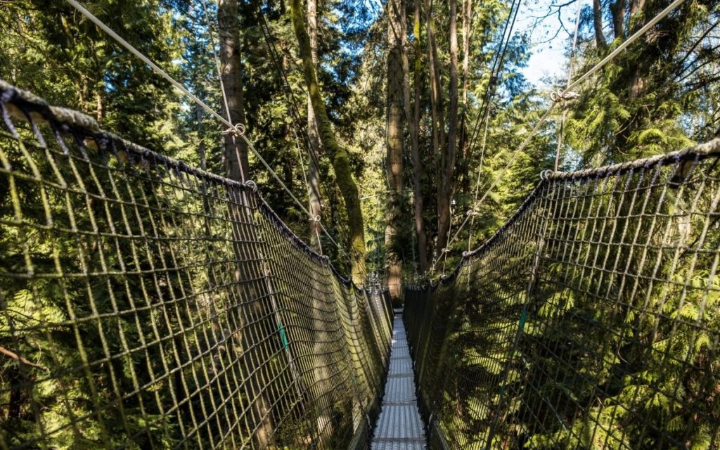 UBC Botanical Garden - Greenheart TreeWalk