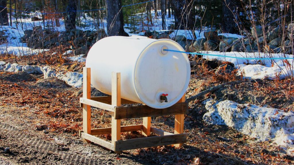 Maple syrup storage