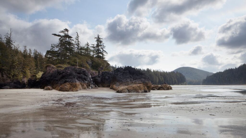 Cape Scott Provincial Park - Beach