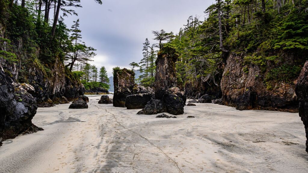 Cape Scott Provincial Park