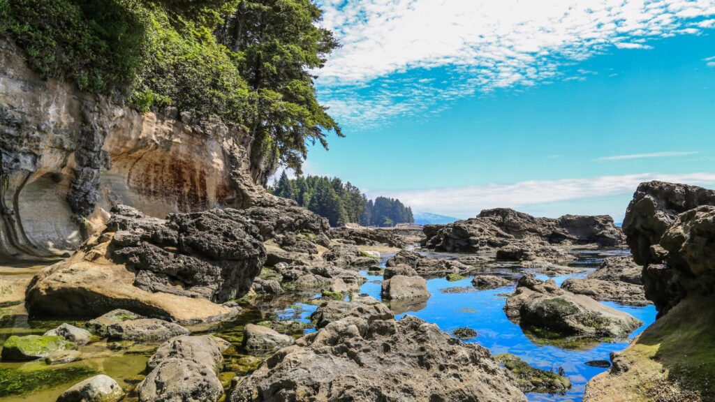 Botanical Beach Vancouver Island