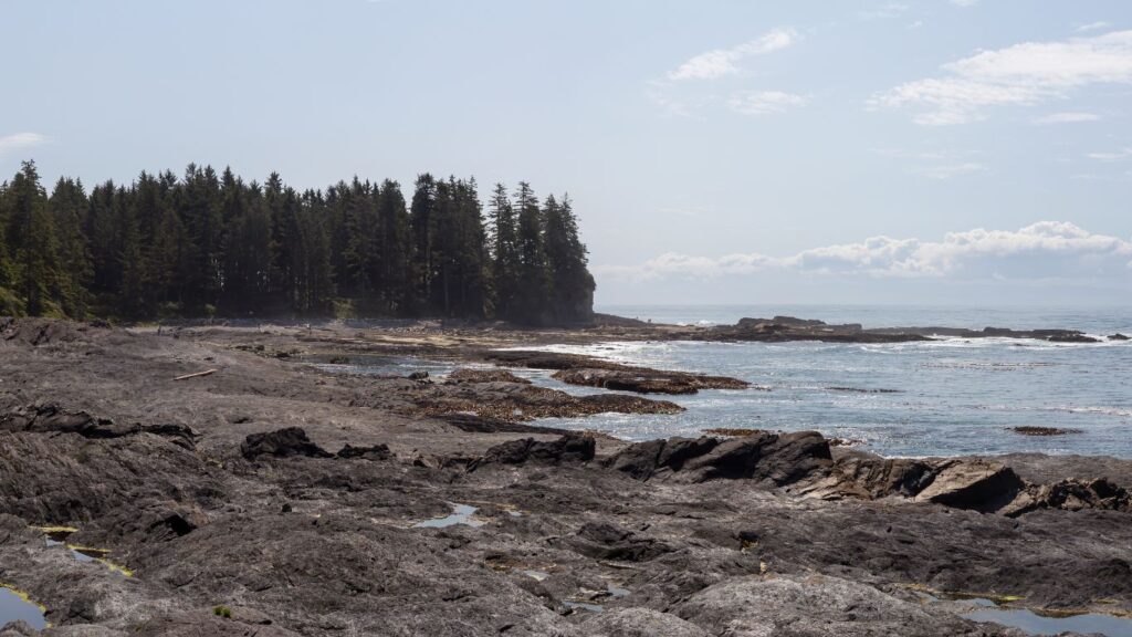 Rough Coast Line at Botanical Beach on Vancouver Island