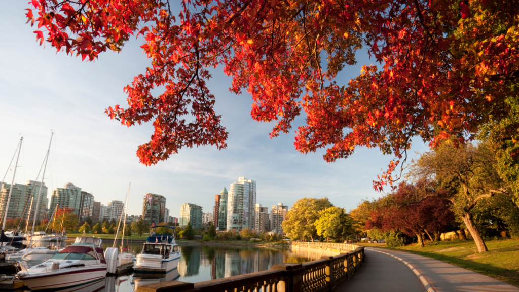 Stanley Park - Vancouver, Picture by mysticenergy on Canva https://www.canva.com/photos/MAEJeoW99X0/