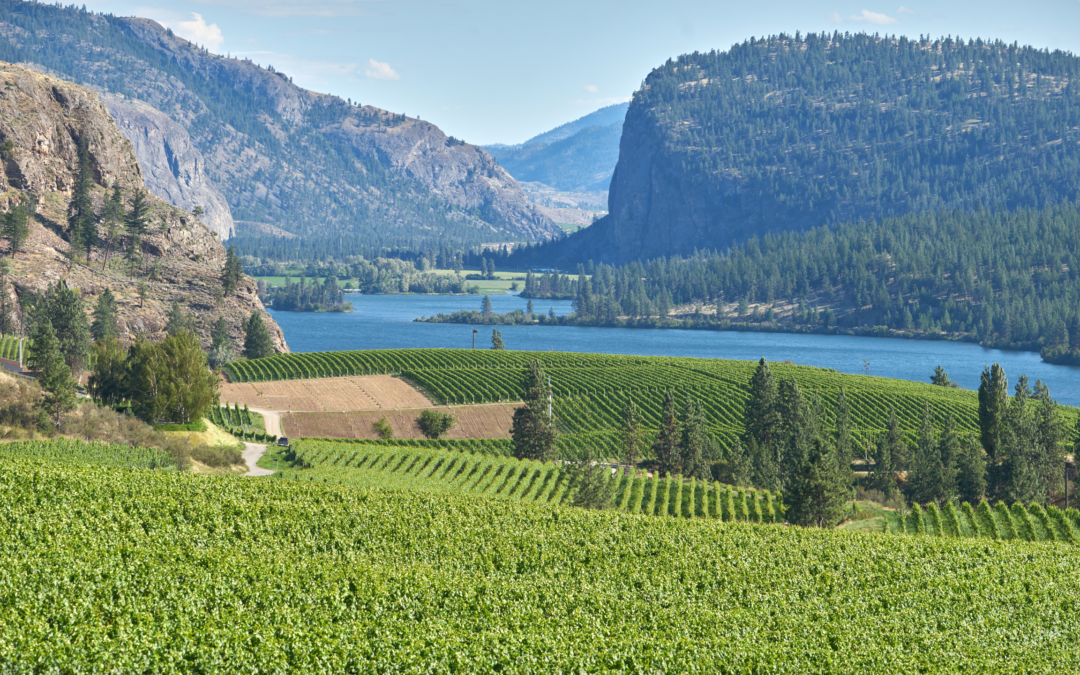 BC Wine Tours: Discover The Magic of 9 Must-Try Destinations