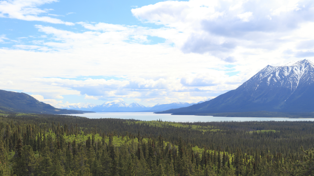 Atlin Lake & Mount Mint, Northwest British Columbia

Northern BC