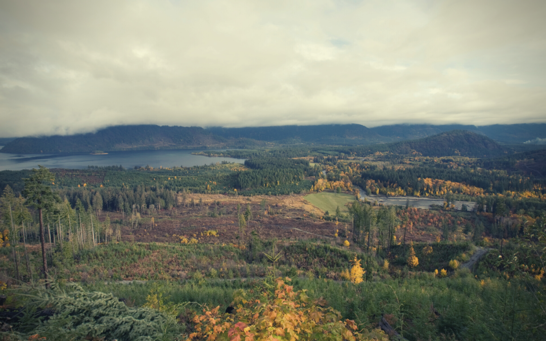 Conquer Vancouver Island: 5 Epic Biking Routes