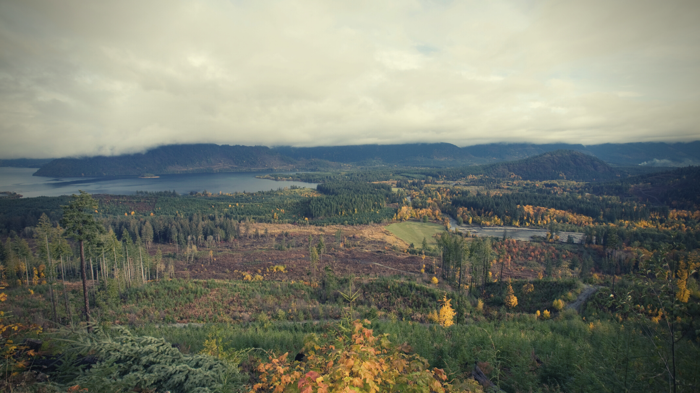 Conquer Vancouver Island: 5 Epic Biking Routes