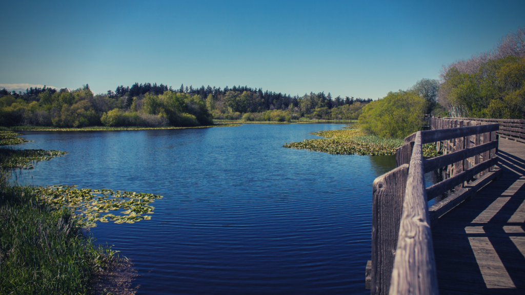 Lochside Trail - Picture by cnicbc