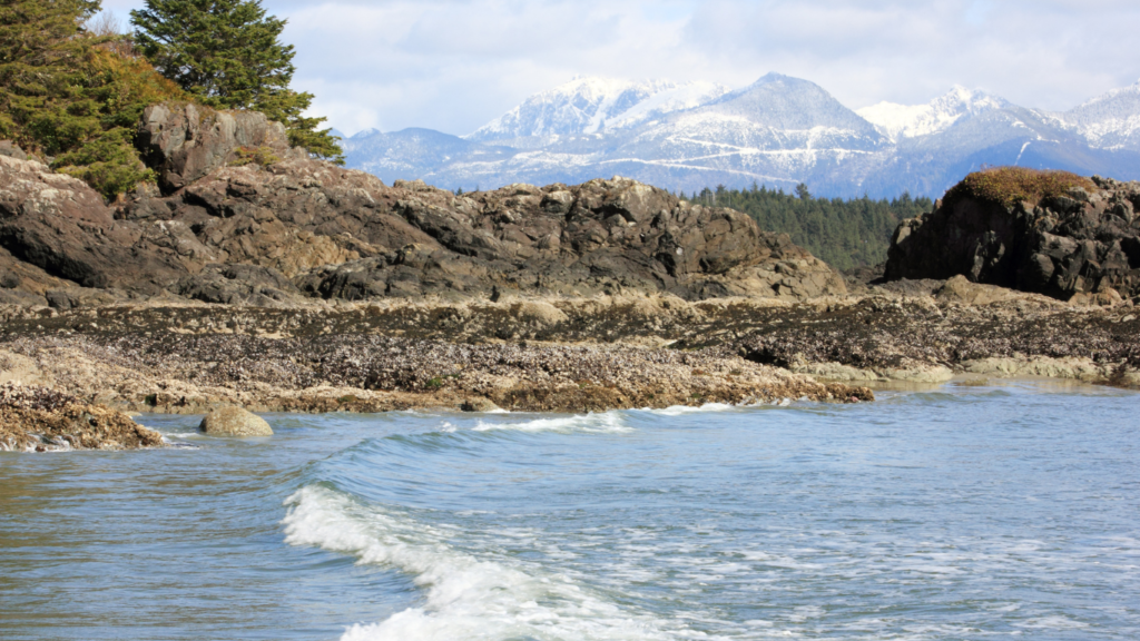 Pacific Rim National Park