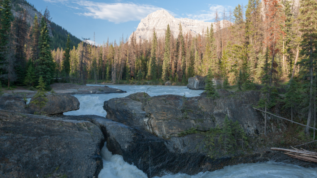 Natural Bridge, Yoho NP