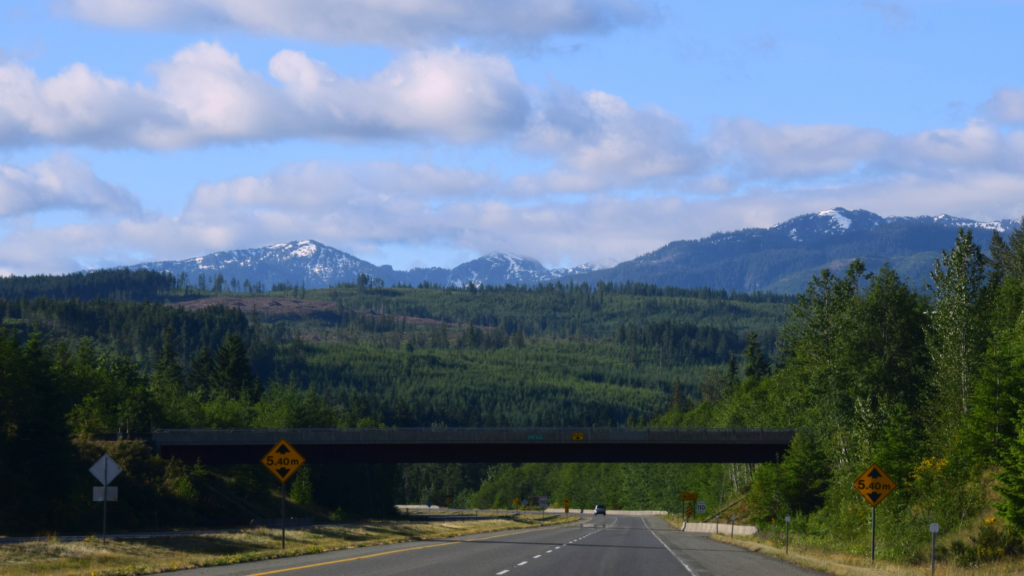 Island highway on Vancouver Island