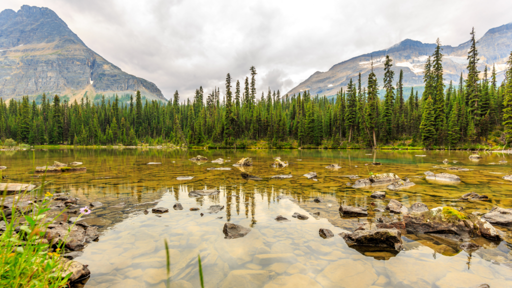 Lake O'Hara