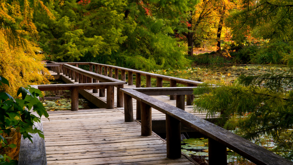 Boardwalk through VanDusen Botanical Garden in Vancouver, BC, Canada