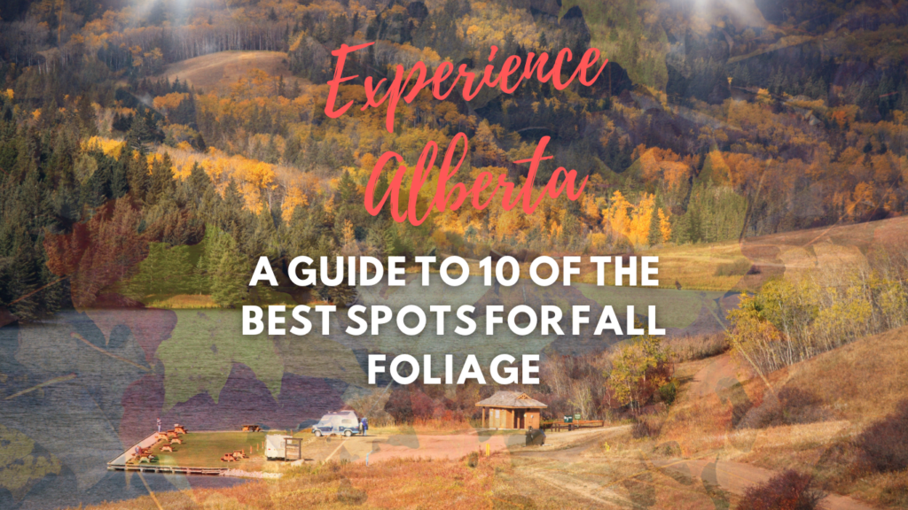 Fall in Alberta: 10 of The Best Spots for Fall Foliage