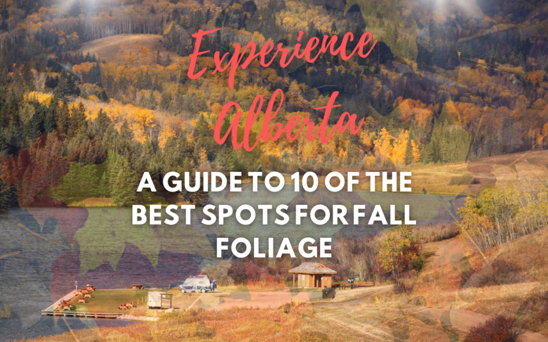 Experience Alberta: A Guide to 10 of the Best Spots for Fall Foliage