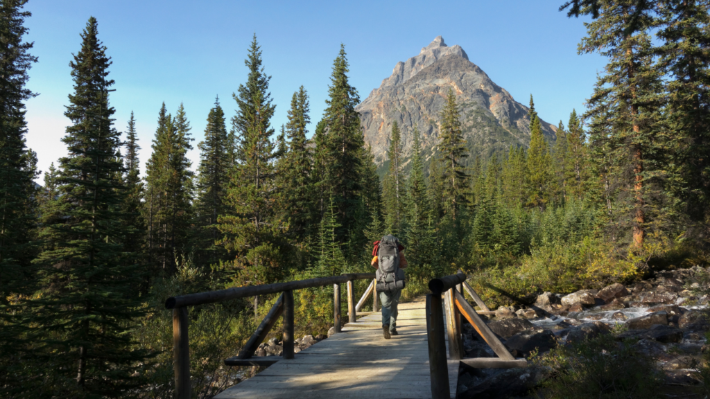 Backpacker hikes Tonquin Valley Trail