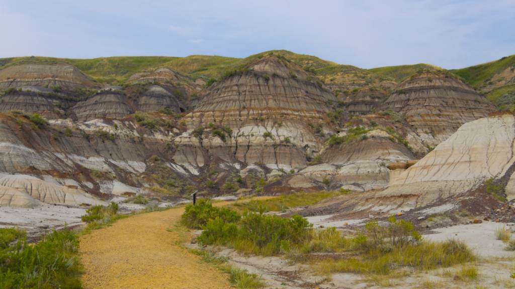 Foot path in Dinosaur Provincial Park