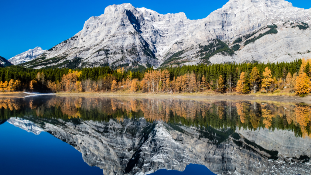 Rockies from Wedge Pond under late fall colours, Spray Valley Provincial Park 