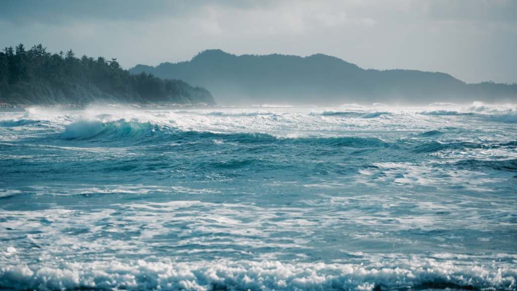 Stormy Coastline in Tofino