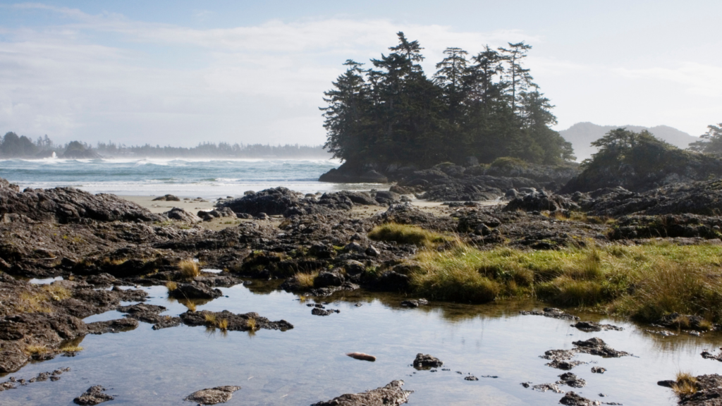 Chesterman Beach, Vancouver Island