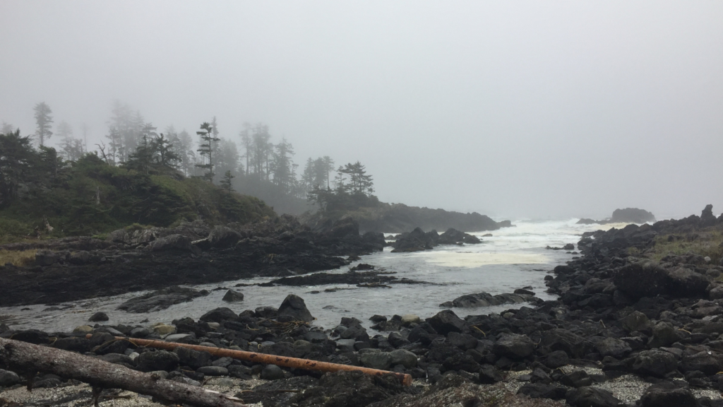 Wickaninnish Beach, Vancouver Island, BC