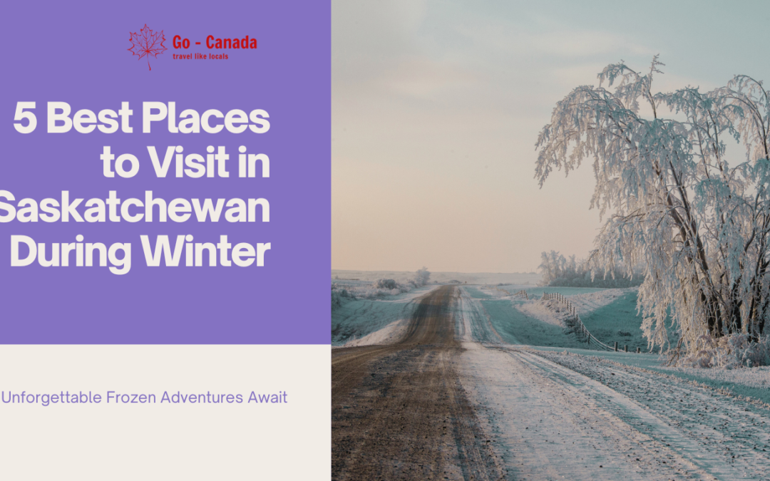 5 Best Places to Visit in Saskatchewan During Winter: Unforgettable Frozen Adventures Await