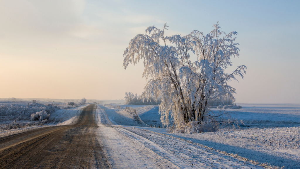 Winter in Saskatchewan