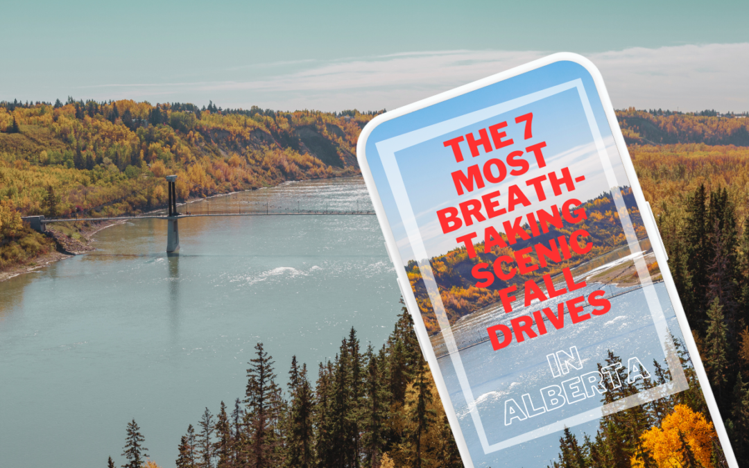 The 6 Most Breathtaking Scenic Fall Drives to Take in Alberta