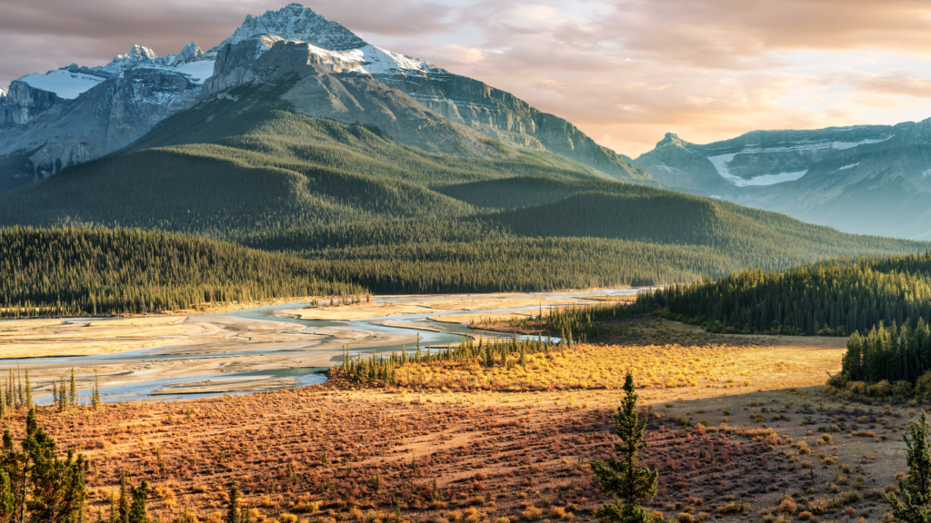 Saskatchewan River Crossing during Autumn golden hour of the Icefields Parkway