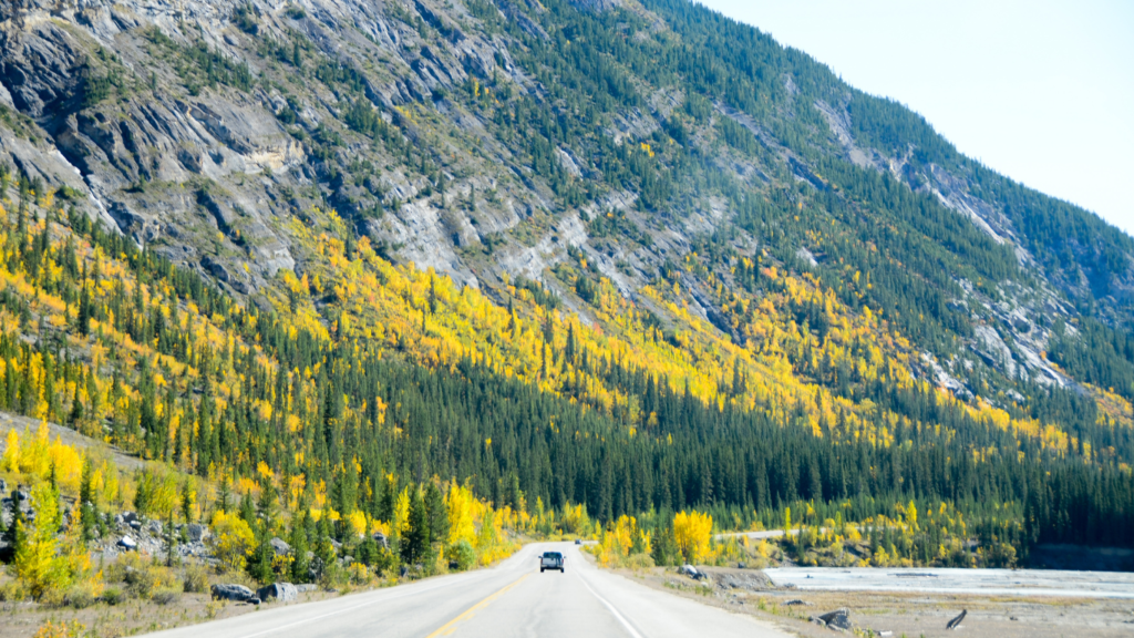 Icefields Parkway in Autumn, Canadian Rockies , Alberta