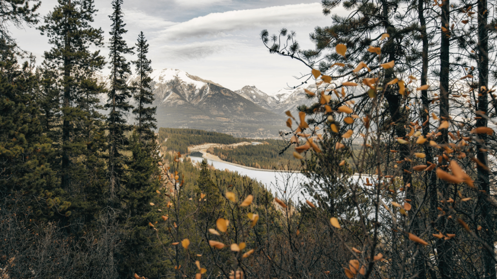 Peyto Lake in Fall, Alberta