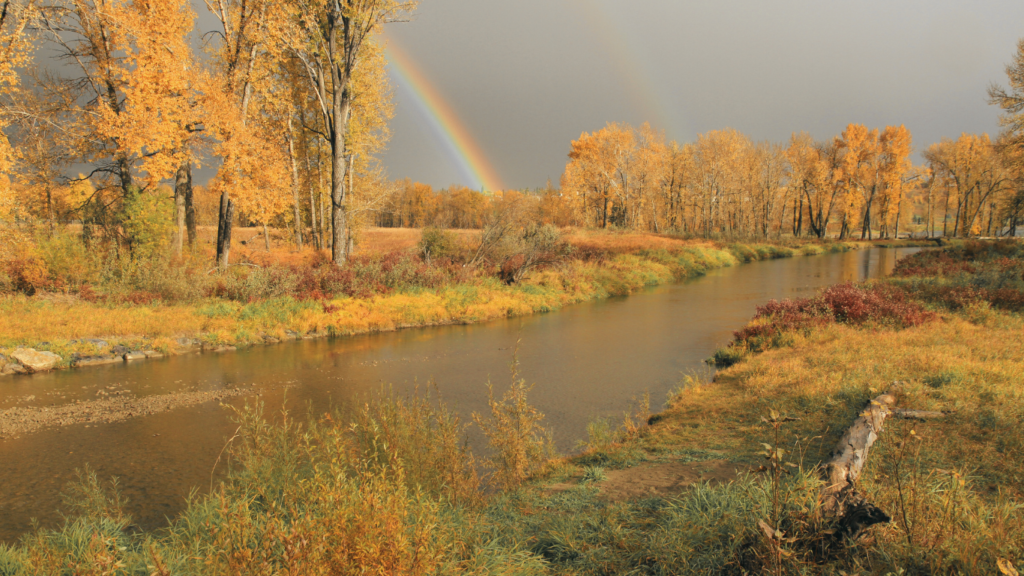 Rainbow in Fish Creek Provincial Park, Calgary, Alberta