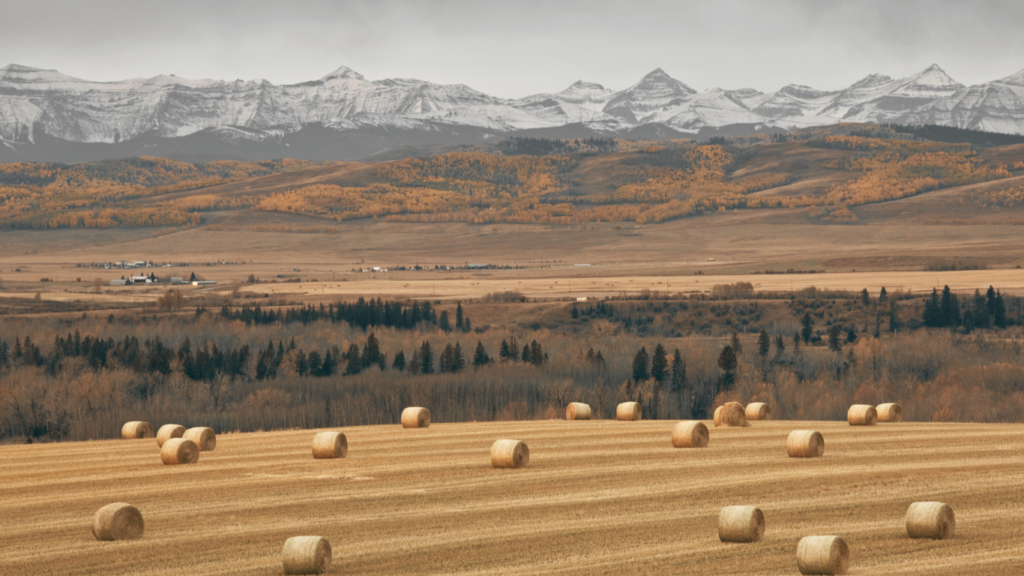 Scenic view of Alberta Foothills, near Oktoks with Rocky Mountains in the distance