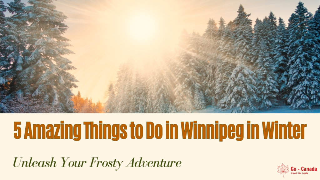 5 Amazing Things to Do in Winnipeg in Winter