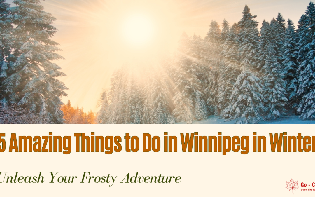 11 Amazing Things to Do in Winnipeg in Winter: Unleash Your Frosty Adventure