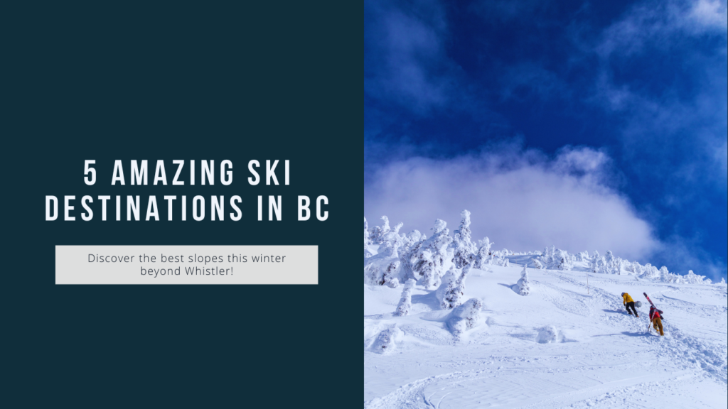 5 Amazing Ski Destinations in BC Beyond Whistler You Need to Check Out