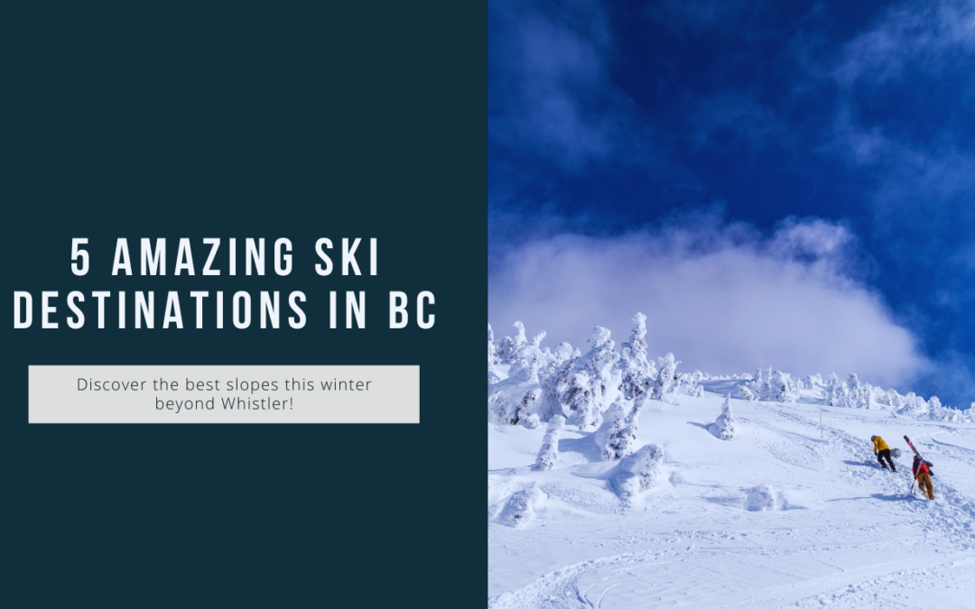 5 Amazing Ski Destinations in BC Beyond Whistler You Need to Check Out