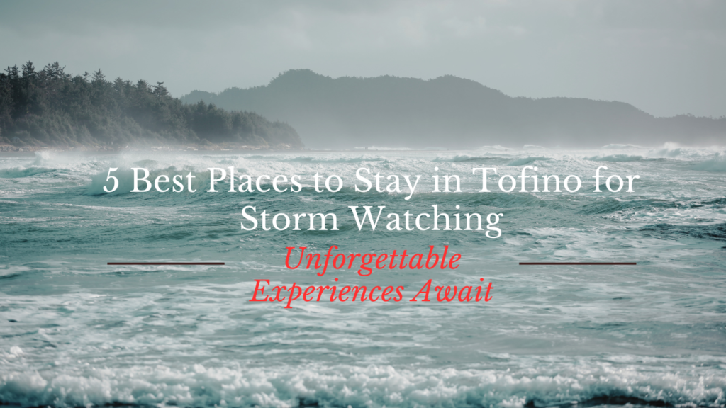 5 Best Places to Stay in Tofino for Storm Watching: Unforgettable Experiences Await