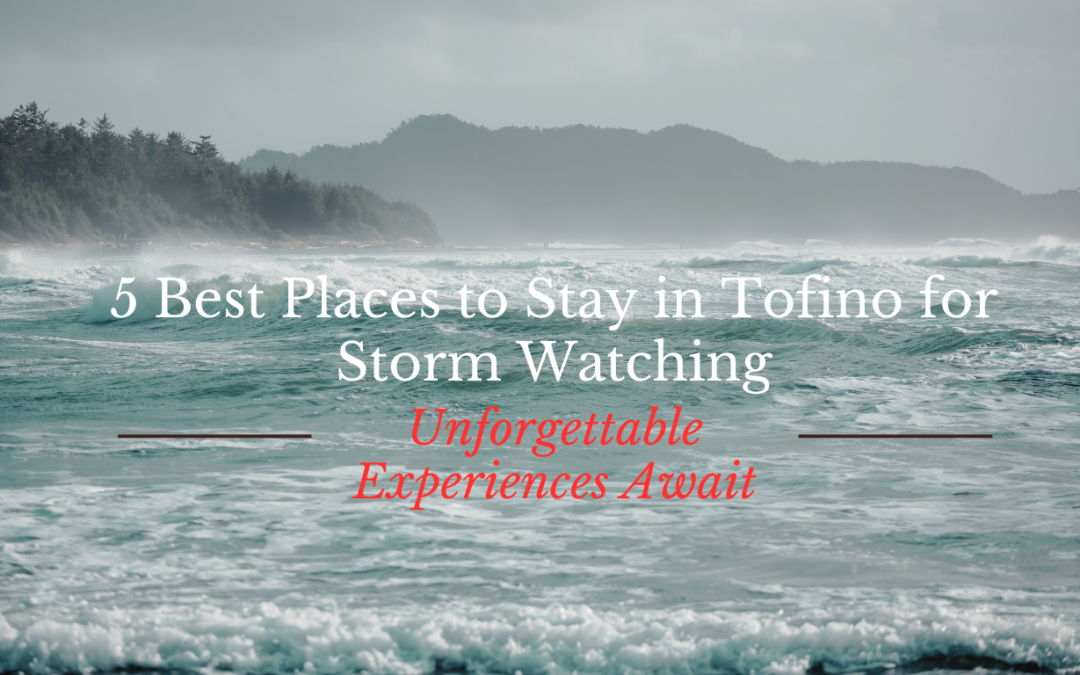 5 Best Places to Stay in Tofino for Storm Watching: Unforgettable Experiences Await