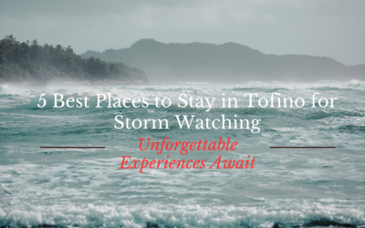 5 Best Places to Stay in Tofino for Storm Watching: Unforgettable Experiences Await