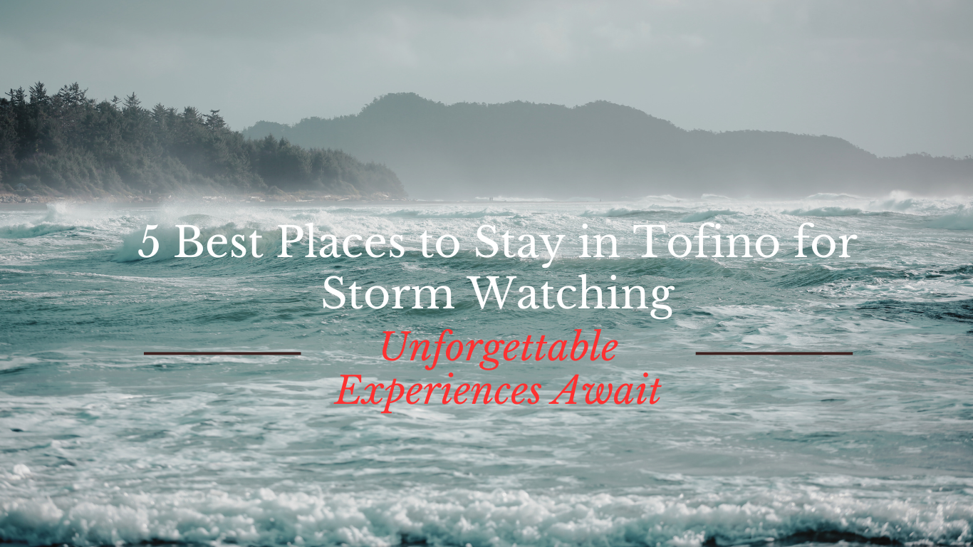 5 Best Places to Stay in Tofino for Storm Watching 5 Best Places to Stay in Tofino for Storm Watching: Unforgettable Experiences Await