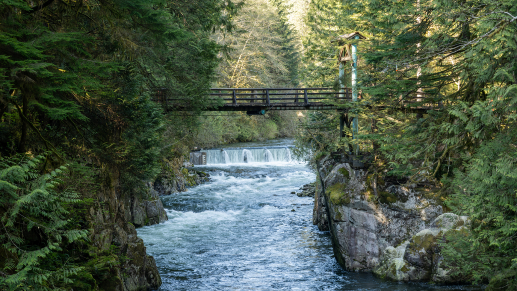 Capilano River Regional Park, North Vancouver, BC, Canada - Picture by Shawn.ccf