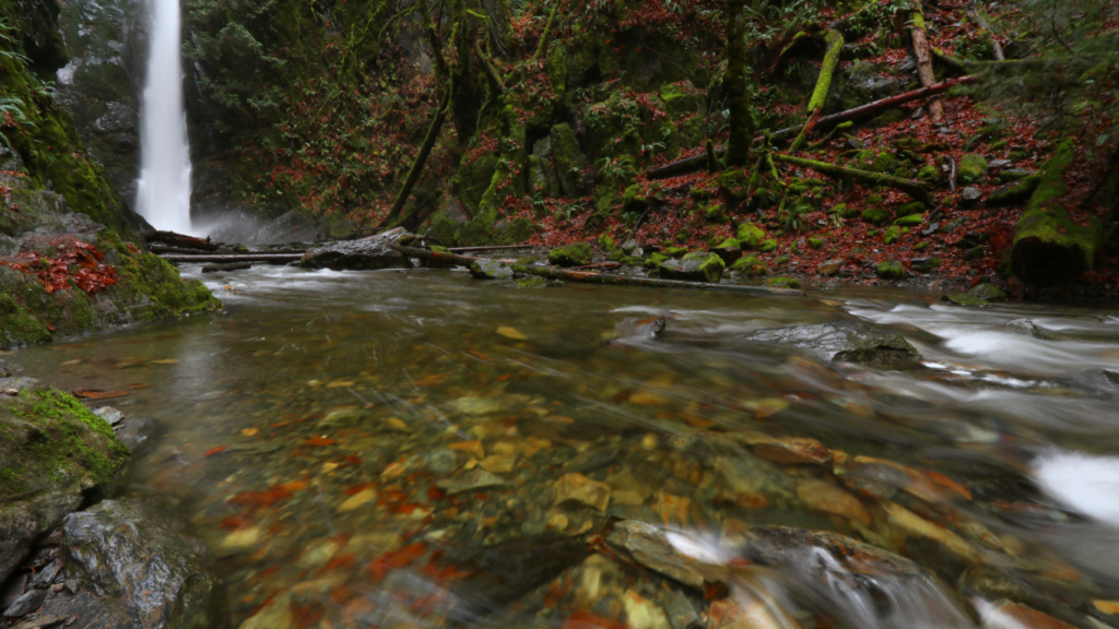 Goldstream Provincial Park