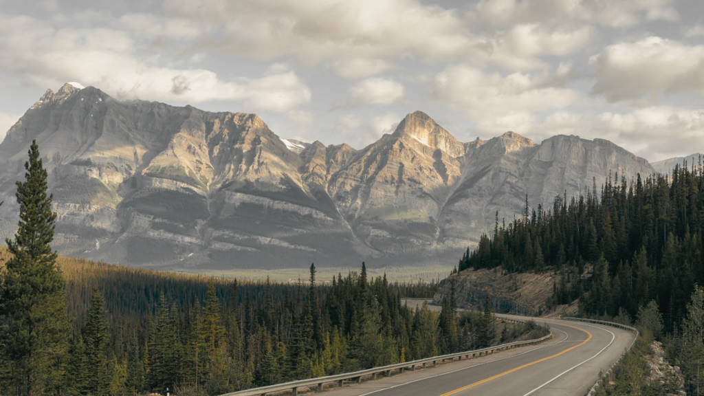 Icefields Parkway, Banff National Park, Albert