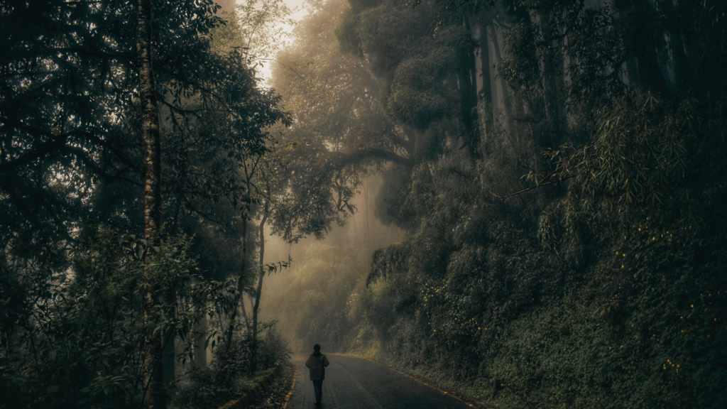 A lone solo traveler in the lap of the nature