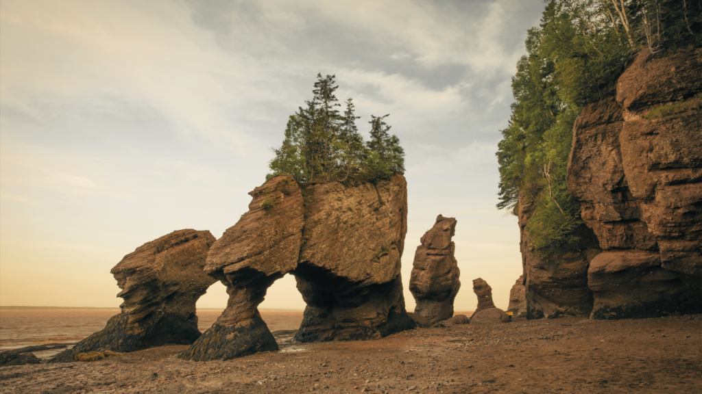 Hopewell Rocks⁠, Bay of Fundy, New Brunswick