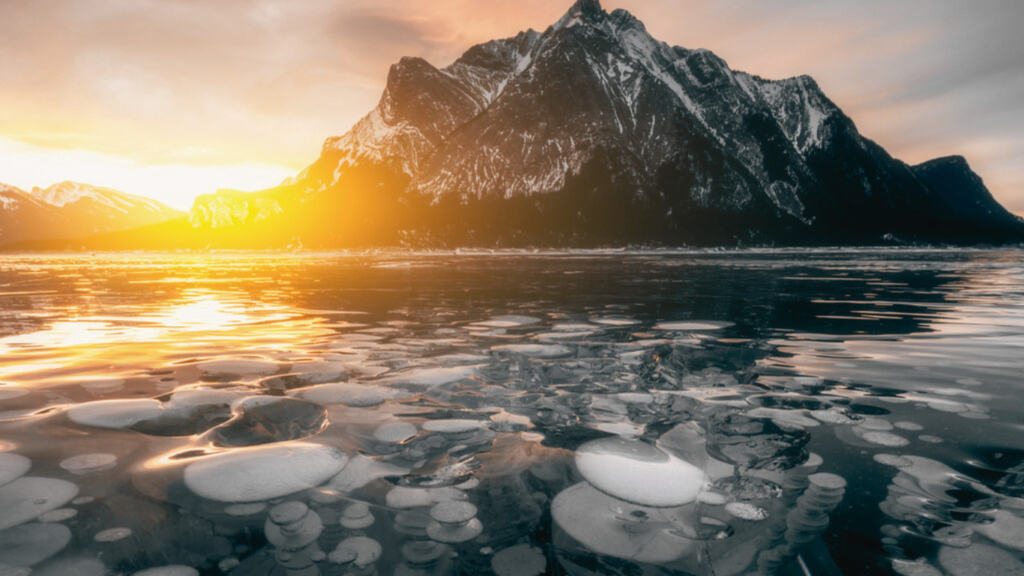 Ice Bubbles, Abraham Lake in sunrise in winter, AB, Canada 