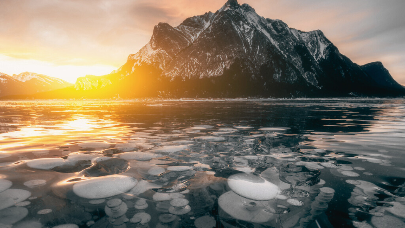 Ice Bubbles, Abraham Lake in sunrise in winter, AB, Canada